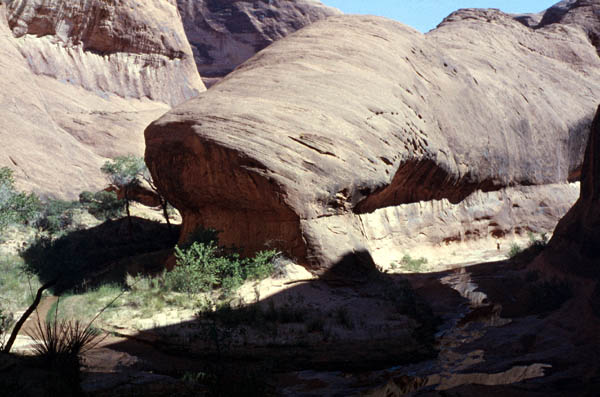 Above the mouth of the San Juan Riv. looking into Willow Canyon and Hidden Passage