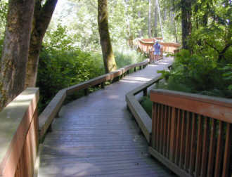 This wooden walkway is over a wetlands in a wooded greenspace.