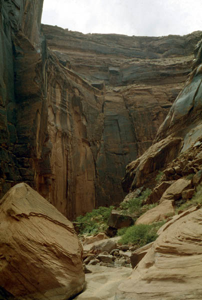 Above the mouth of the San Juan Riv. looking into Willow Canyon and Hidden Passage